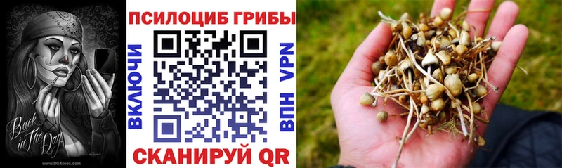 купить закладку Озёрск Галлюциногенные грибы Magic Shrooms